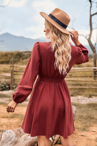 V-Neck Long Sleeve Smocked Waist Mini Dress